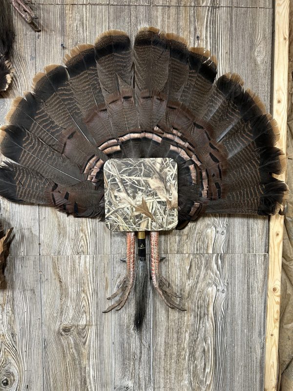 Turkey Fantail Wall Mount Kit / Decoy