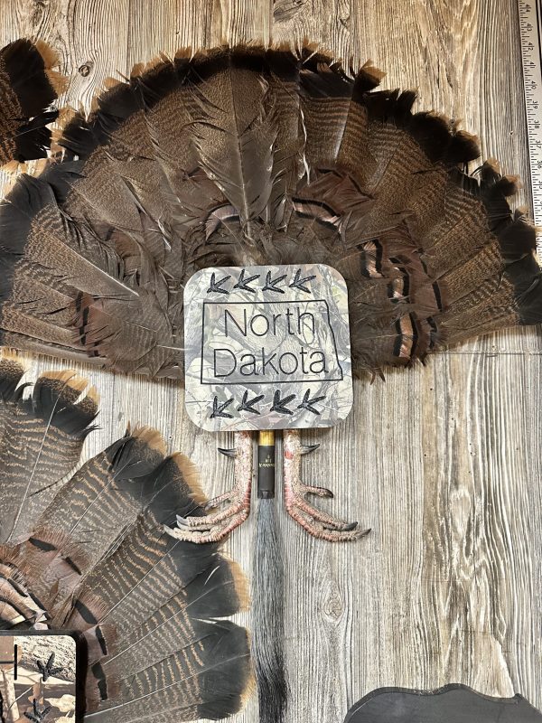 North Dakota Shape Turkey Fantail Wall Mount Kit / Decoy