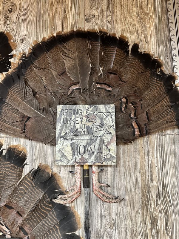 Iowa Shape Wall Mount Plaque / Decoy