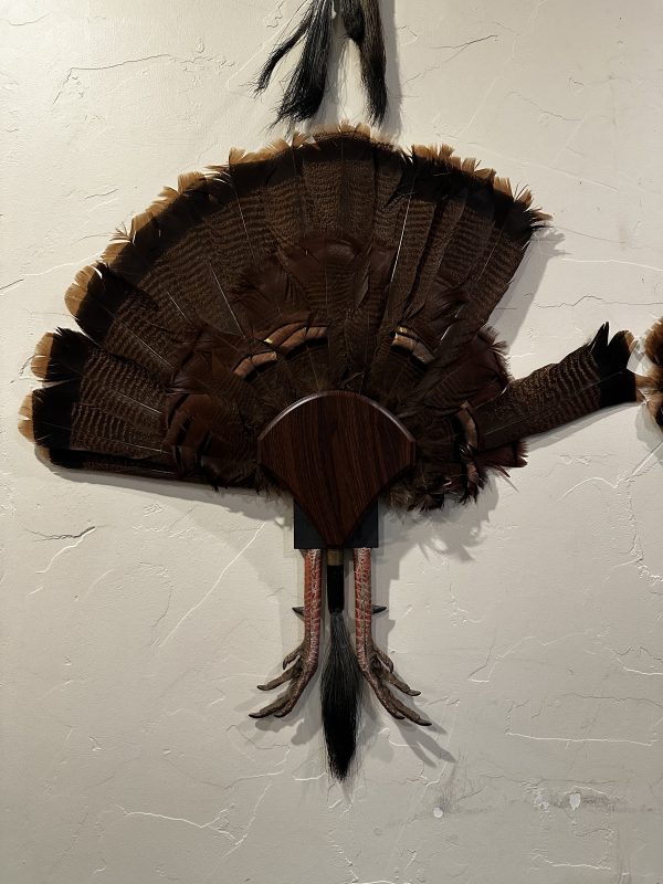 FlatlineYourBird's "Jake's Tail Holder" Black Walnut Tear Drop Turkey Fantail Wall Mount Plaque - Image 2