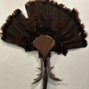 FlatlineYourBird's "Jake's Tail Holder Turkey Fantail Wall Mount Plaque Tear drop Red Oak