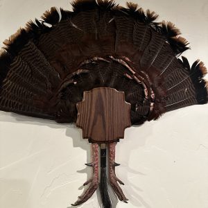 FlatlineYourBird's "Jake's Tail Holder" Red Oak Cluster Wall Mount Plaque