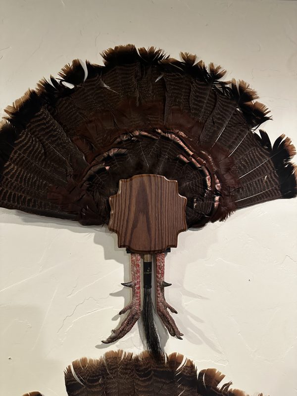 FlatlineYourBird's "Jake's Tail Holder" Red Oak Cluster Wall Mount Plaque